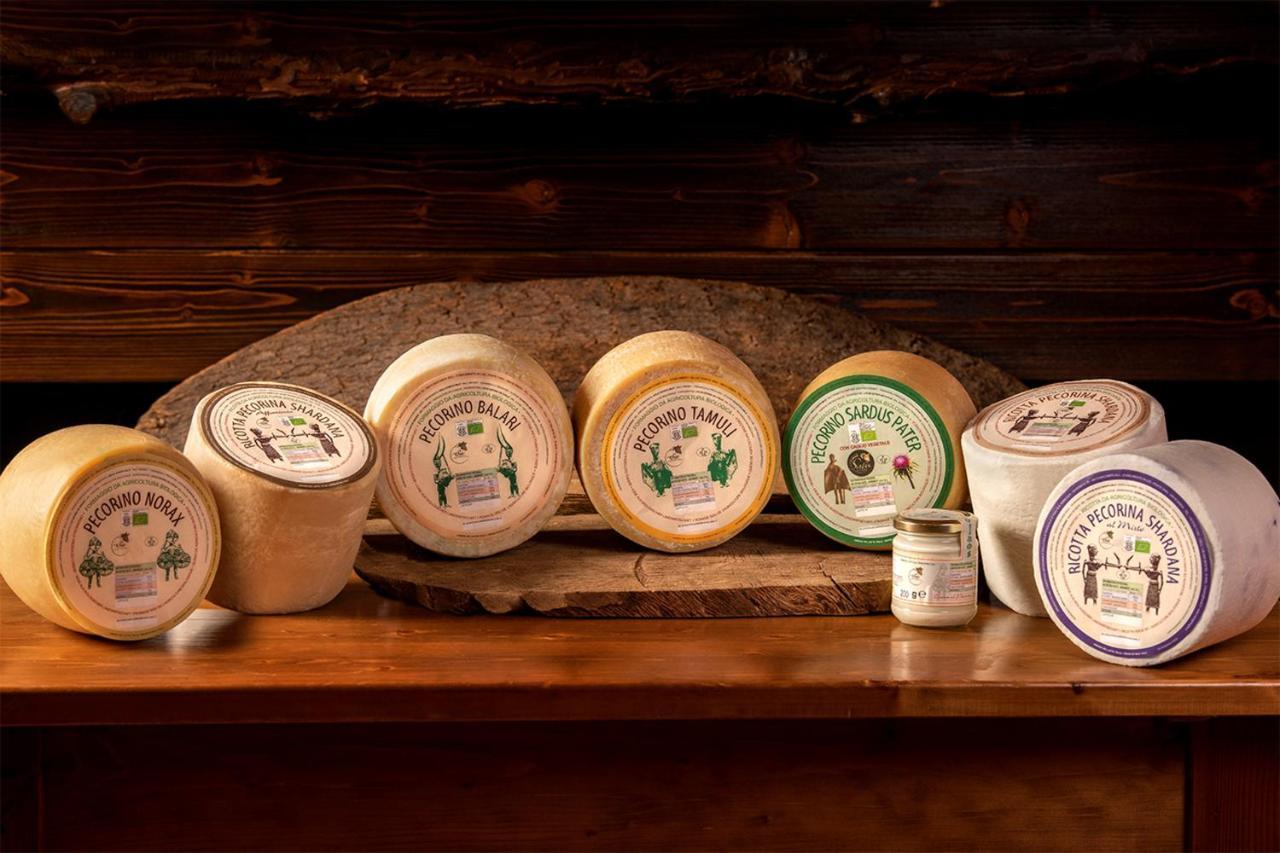 Agriturismo Nuragh'Elighe Sindia ภายนอก รูปภาพ