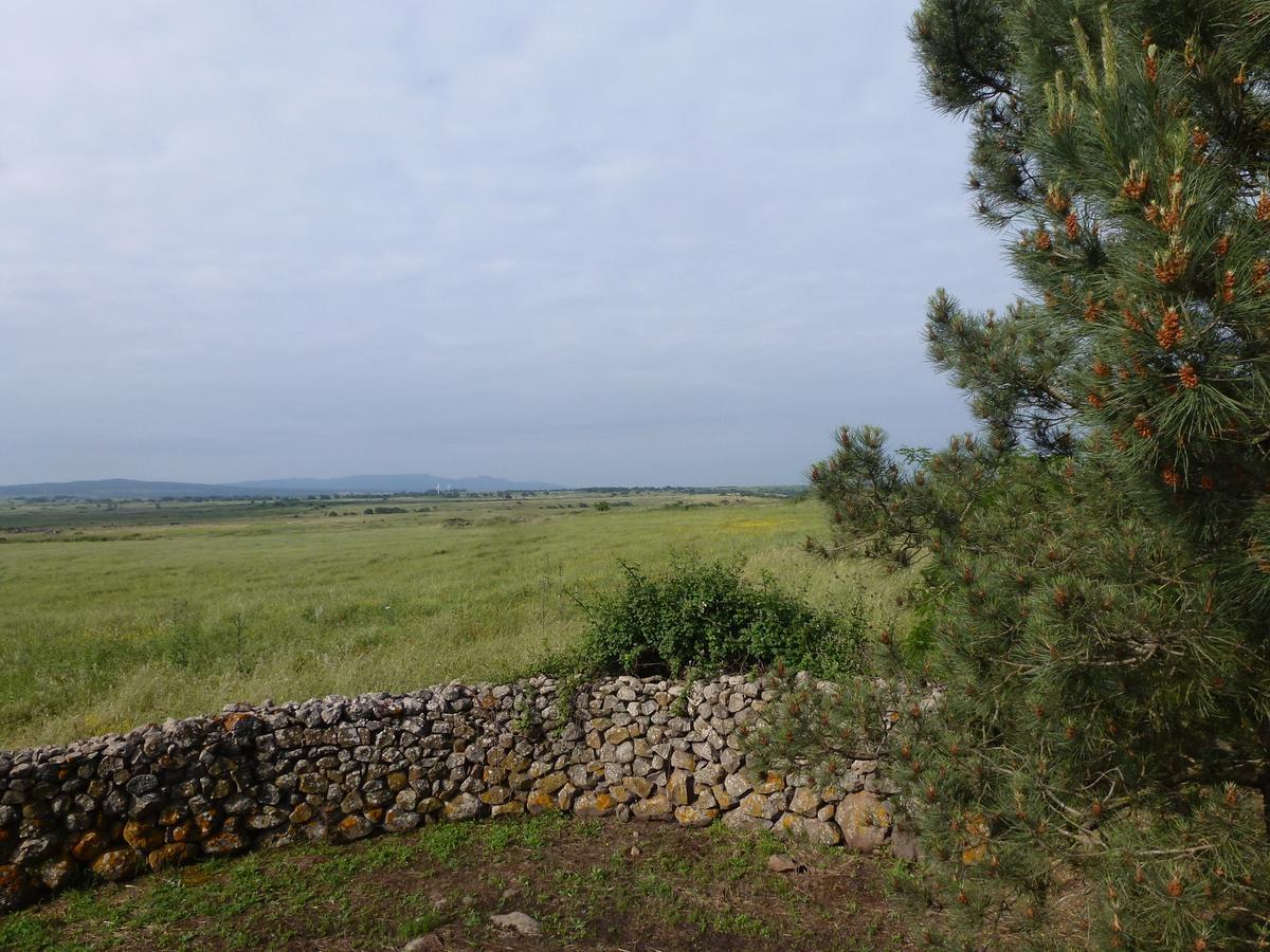 Agriturismo Nuragh'Elighe Sindia ภายนอก รูปภาพ