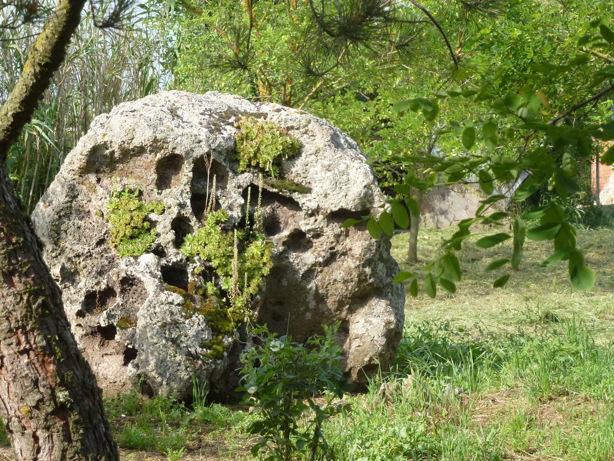 Agriturismo Nuragh'Elighe Sindia ภายนอก รูปภาพ