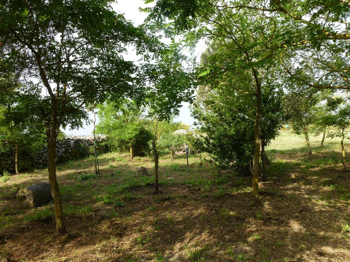 Agriturismo Nuragh'Elighe Sindia ภายนอก รูปภาพ