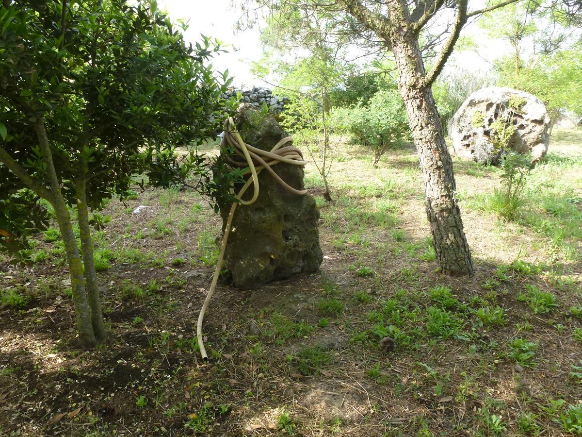 Agriturismo Nuragh'Elighe Sindia ภายนอก รูปภาพ