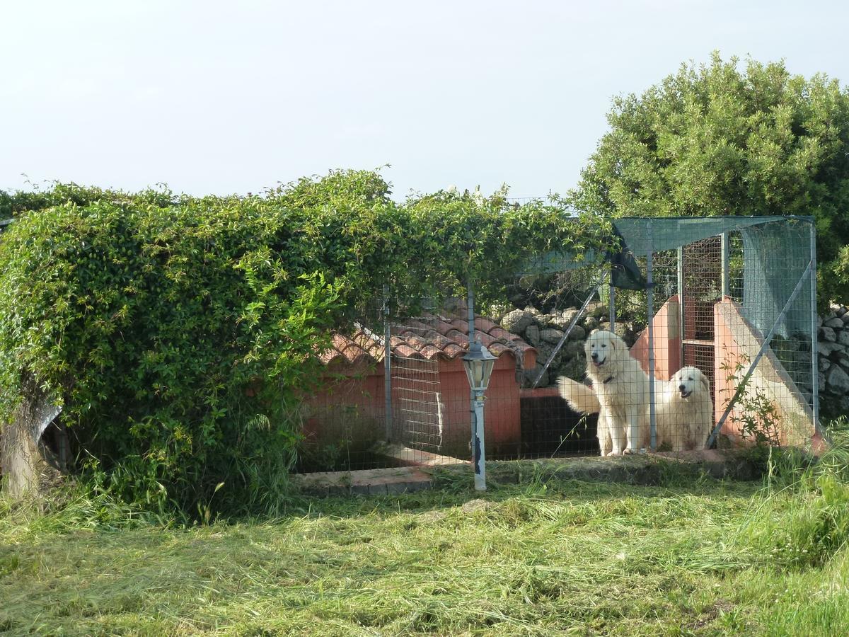 Agriturismo Nuragh'Elighe Sindia ภายนอก รูปภาพ