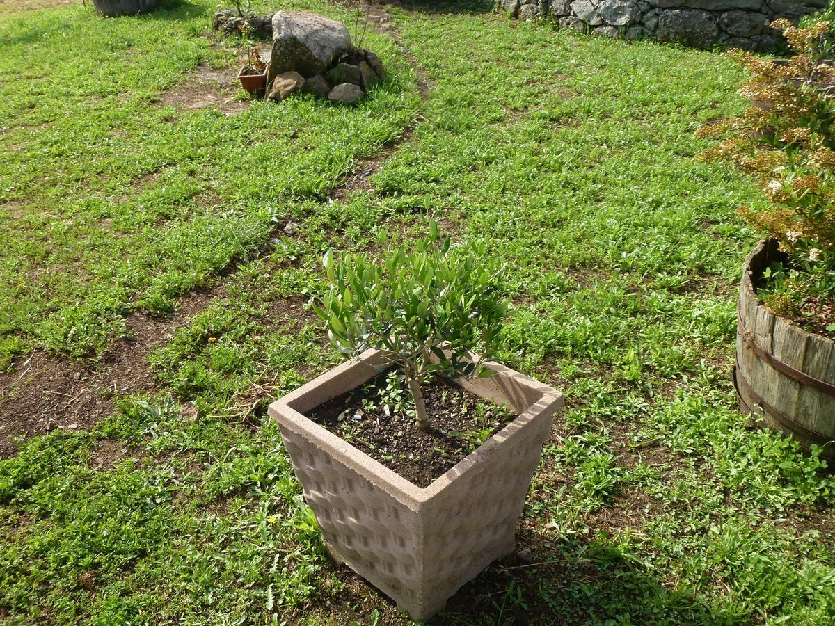 Agriturismo Nuragh'Elighe Sindia ภายนอก รูปภาพ